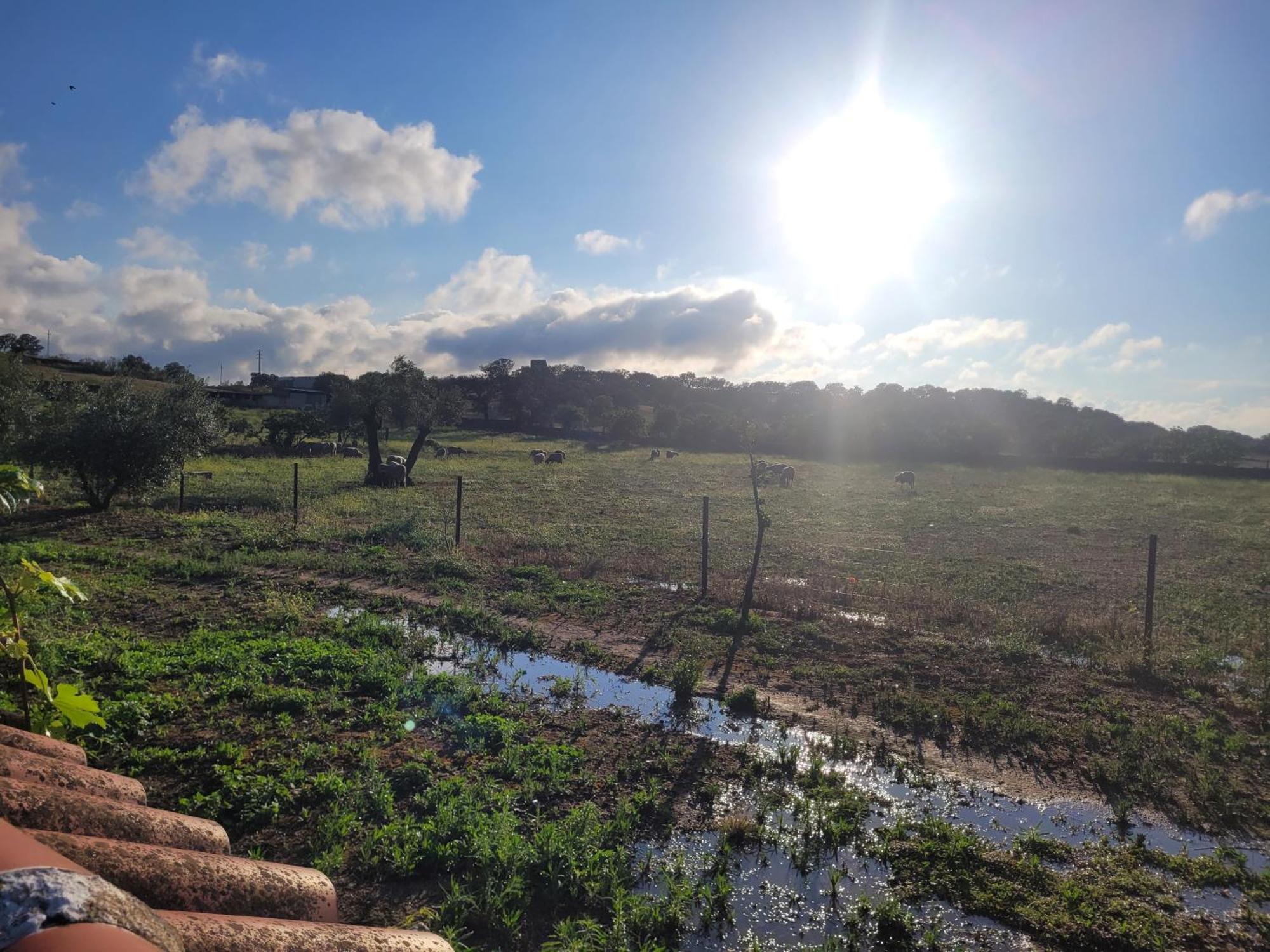 Вилла Complejo Rural El Soldado Villanueva del Duque Экстерьер фото